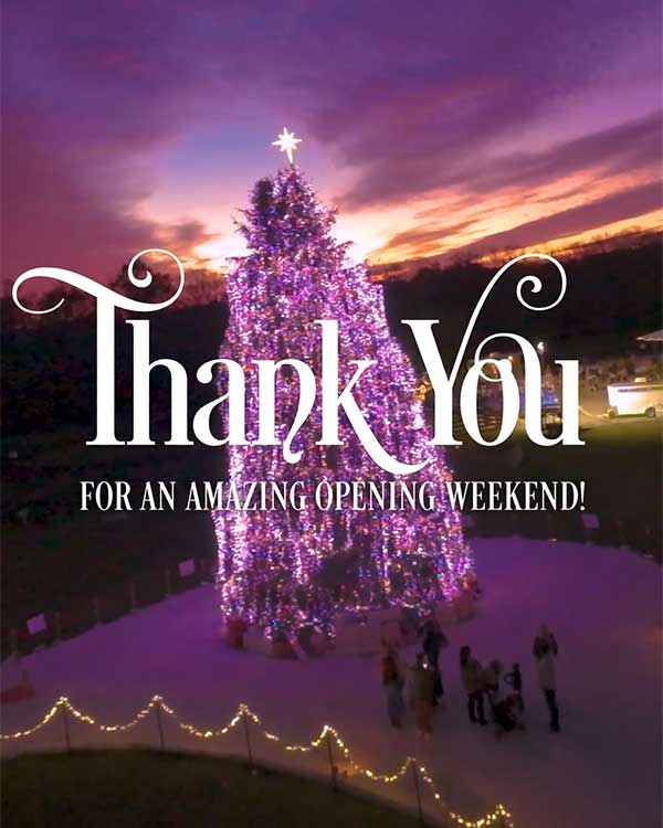 Christmas Experience